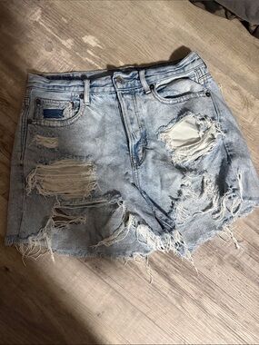 American Eagle Outfitters Light Blue Denim Shorts